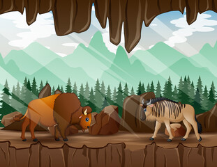 Cartoon a wildebeest and bison walking in the cave