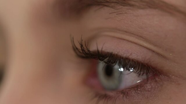 Female eye closeup. Ophthalmology concept. Eyesight. Blue eyelid iris.