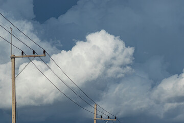 Fototapeta premium Rain clouds in the sky and electric poles