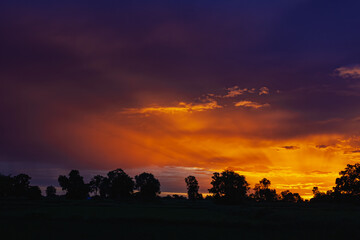 The purple and orange sky after sunset below with tree shadows.