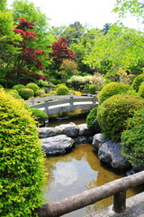 新緑の公園の日本庭園の風景