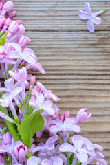 Spring Lilac flowers with green leaf on rustic background decorative border copy space.