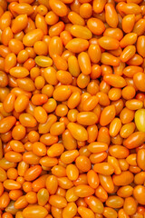 Yellow Cherry Tomato Background