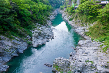 初夏の大歩危峡