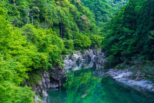 祖谷川 の画像 665 件の Stock 写真 ベクターおよびビデオ Adobe Stock