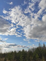 blue sky and clouds, forest