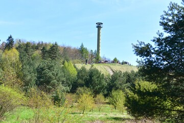 Pustynia Błędowska, park krajobrazowy Orlich Gniazd, w Małopolsce, punkt widokowy Czubatka,