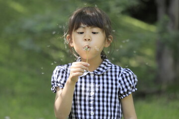 タンポポを吹く女子小学生 (6歳)
