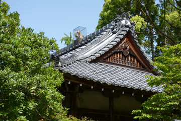 赤山禅院　拝殿の屋根　京都市左京区