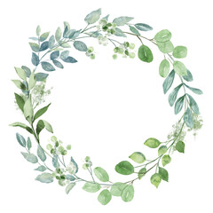 Wreath with eucalyptus, watercolor leaves. Hand painting botanical floral frame. Leaf illustration isolated on white background. © Larisa