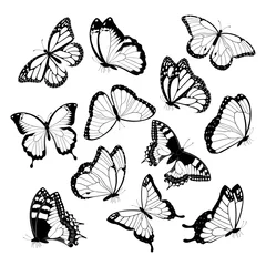 Sheer curtains Butterflies in Grunge Black and white flying butterflies. Isolated on white background. Vector illustration. 