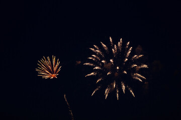  Festive fireworks in the dark night sky