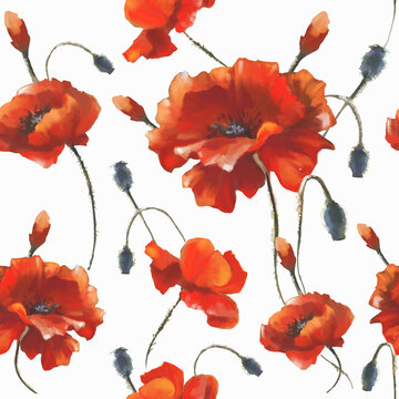 Seamless pattern with red poppy flowers on a white background. Digital illustration.