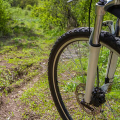Fototapeta na wymiar Front wheel of a mountain bike before descending a trail. The front fork and brakes of the bike are visible. 