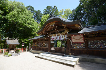Fototapeta premium 鷺森神社 本殿 京都市修学院