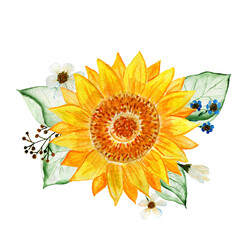 A bouquet of sunflowers. Watercolor flower arrangement. Illustration for invitations and postcards.