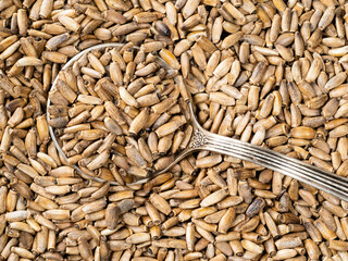 top view of silver spoon in milk thistle seeds