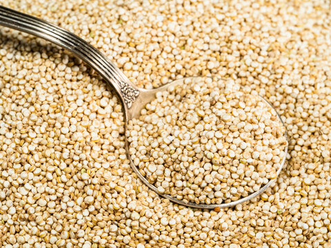 tablespoon in quinoa seeds close up