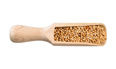 unhulled yellow proso millet seeds in scoop cutout