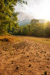 Fototapety na wymiar - Fototapeta24.pl