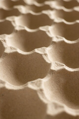 Empty Egg Box Grunge Background. Empty egg carton, box, tray or container. Craft paper background. Recycling concept.