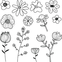 Doodle cute flowers set, collection isolated line. Botanical hand drawn vector illustration coloring. Sketch for a tattoo.