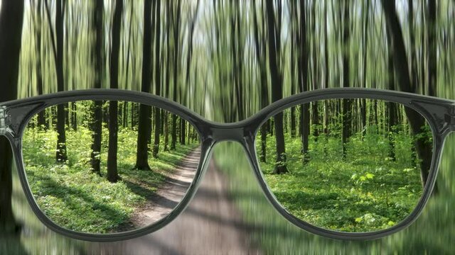 sharpness with glasses walking in the woods