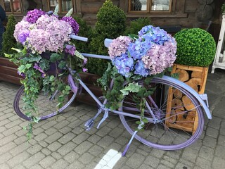 Fototapeta na wymiar Bike of flowers
