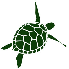 Turtle. Icon in deep green color, isolated on white background. Creative original illustration. Sticker. Graphic design element. Template. Hand drawn. Vector EPS10. 