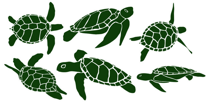 Turtle. Icon in deep green color, isolated on white background. Creative original illustration. Sticker. Graphic design element. Template. Hand drawn. Vector EPS10. 