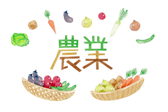 農業 野菜 タイトル 文字　水彩 イラスト