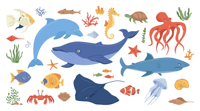 Ocean animals set isolated flat cartoon icons. Vector marine creatures, childish kids underwater animals. Seaweed, algae and seashells, jellyfish and whale, shark and turtle, squid and clown fish