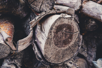 Fototapeta premium stack of firewood texture background