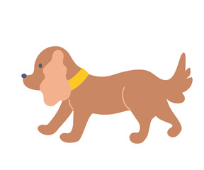 Cute little dog. Dachshund, lapdog. Flat Vector illustration.