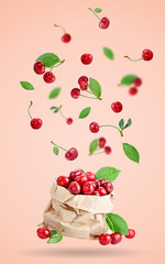 Cherry berries levitating on a pink background. Background with copy space. Selective focus.