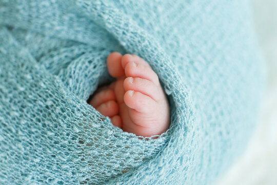 Two cute tiny baby feet wrapped in a blue-green aqua knitted blanket