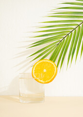 fresh glass of water with slice of orange on a sunny day.palm tree shadow above refreshment.happy summer idea