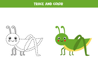 Trace and color cute green grasshopper Worksheet for kids.
