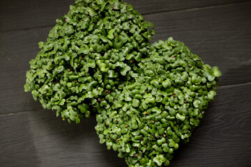 several containers of microgreens of radish on wooden natural dark background. Sprouting Microgreens. dense green leaves, cityferm. Vegan and healthy eating concept. Selective focus.