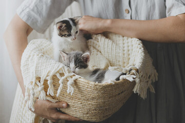 Woman in rustic dress holding basket with cute little kittens. Adorable kitties in basket. Adoption