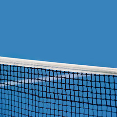 Blue paddle and tennis net and hard court. Professional sport and tennis competition concept