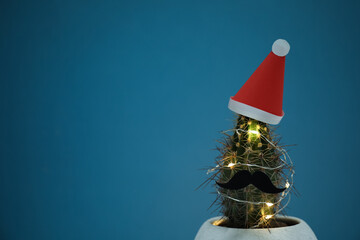 Cactus decorated with glowing fairy lights and santa hat on blue background. Space for text