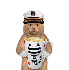 A reddish cat captain in a sailor hat with a big cup of coffee. White background. Isolated.