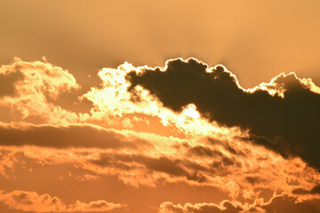 Rain cloud with evening sunset light.