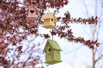 Different wooden bird houses hanging from tree outdoors