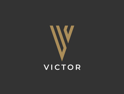 Unique modern creative elegant letter V logo template. Vector icon.