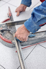 Professional ceramics tile man worker placing new tiles on the floor and wall.