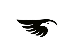 Flying bird vector logo. Elegant bird, eagle, hawk, vector logotype design. Universal premium falcon wing symbol.
