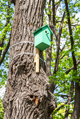 Wooden bird house hanging from a tree