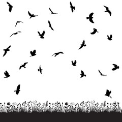 vector, isolated flock of birds flying